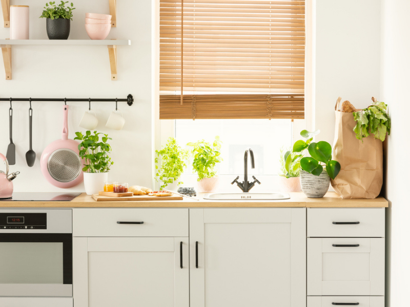 An eco-friendly kitchen